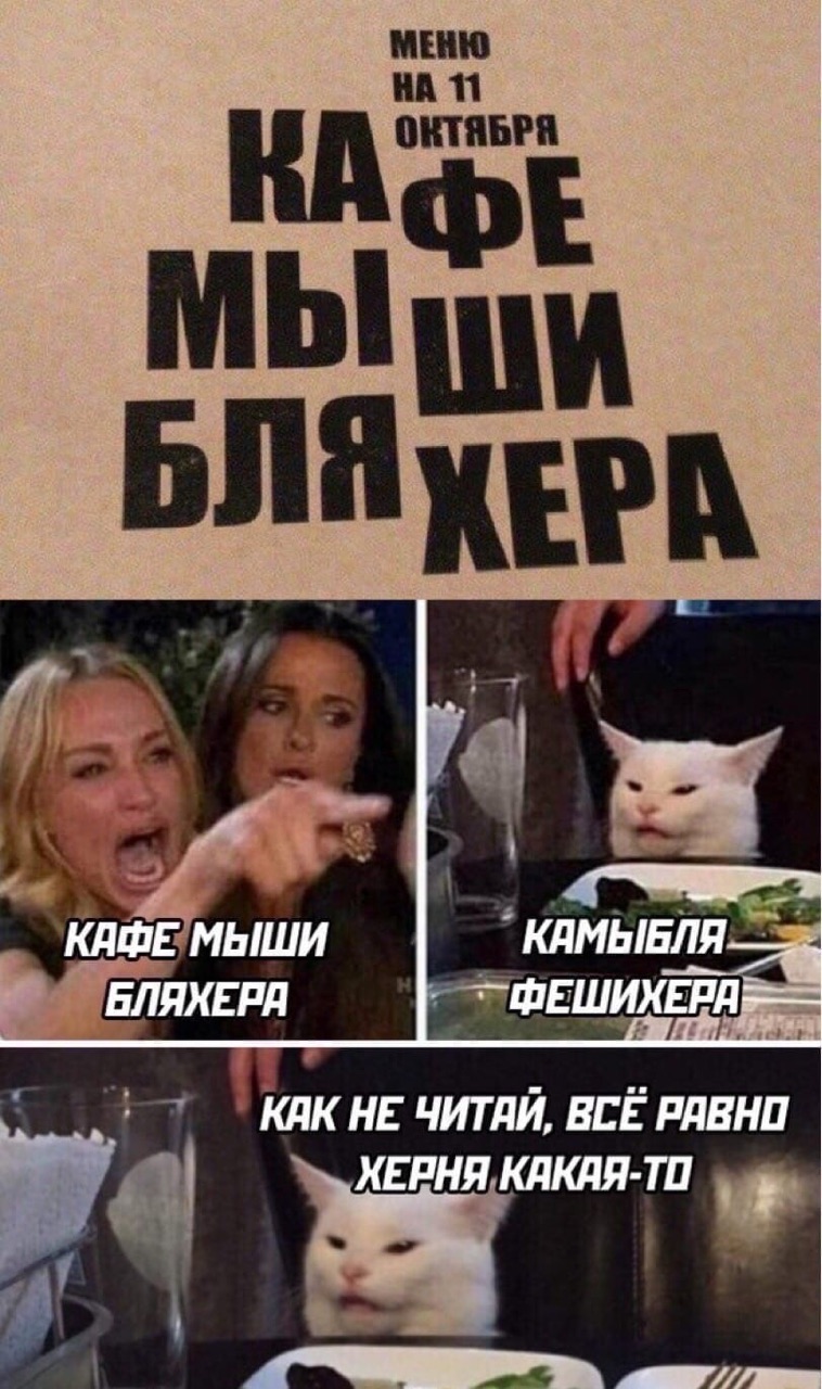 Cat Wrong Hole